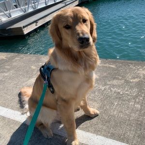 Meet your Posher, Caitlyn